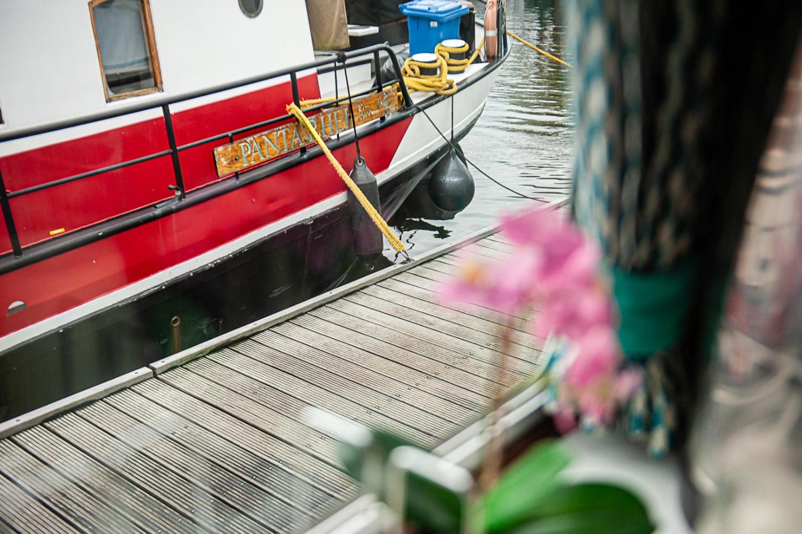 The Cabin @ Mps Noorderzon Amsterdam Ngoại thất bức ảnh